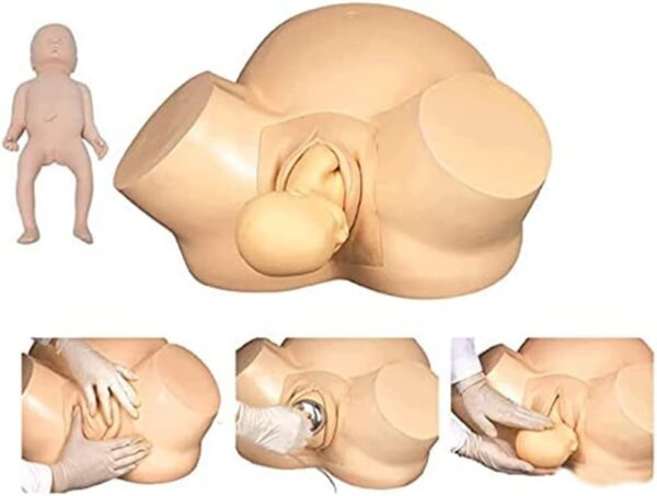 Anatomy Childbirth Simulator Manikin - SBTZ